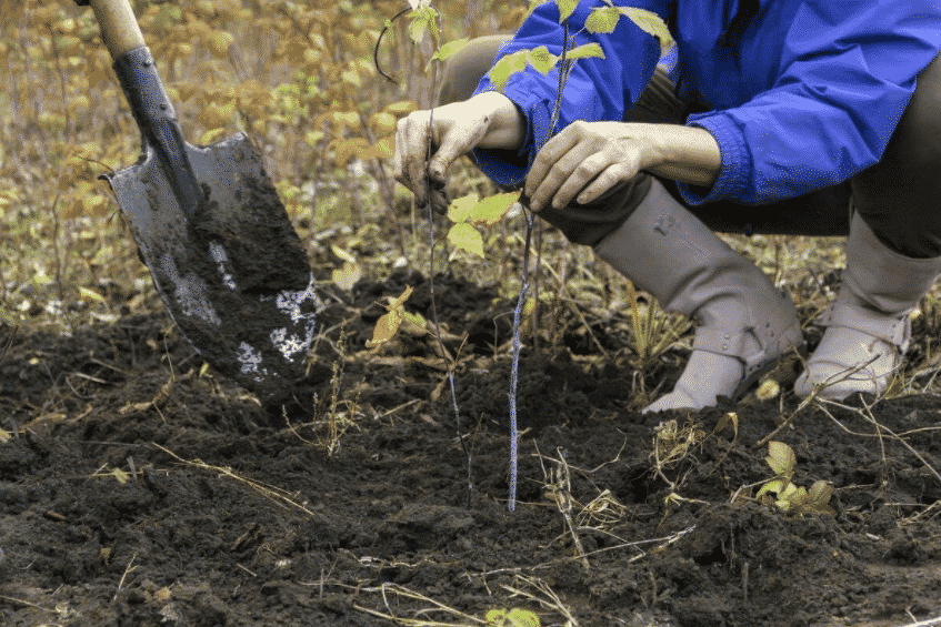 <strong>اختر موقعًا مشمسًا جيد التصريف للمياه</strong><br>